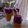 Cooksnap dari Yuyun untuk resep Dragon Manggo Smoothies with Yogurt