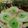 Cooksnap dari Anna Hadi_ant untuk resep Kue Ape