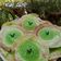 Cooksnap dari Anna Hadi_ant untuk resep Kue Ape