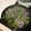 Cooksnap của MQD khi họ làm theo món Măng tây xào thịt bò