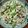 庭秀 的 肉絲炒菇菇（素） cooksnap