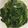 QBee Sindy Chien 的 燙青菜 cooksnap