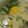 Cooksnap dari nunnashinta untuk resep Lodeh sederhana