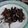 Cooksnap dari Yohana Tia untuk resep Cumi Hitam Pedas