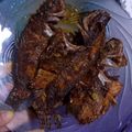 Cooksnap dari Desy Undari untuk resep Mujaer goreng kering