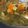 Linda Vituma's cooksnap of when they made Chicken and Cabbage Soup.