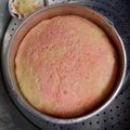 Cooksnap dari Inggit Nurharyanto untuk resep Bolu Kukus Pop Ice (Takaran Sendok)