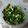 Yadira's cooksnap of when they made Cilantro-Avocado Salsa.