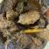 Cooksnap dari wulan indriani untuk resep Rendang daging sapi