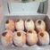 Cooksnap dari Ery Wardoyo untuk resep Bomboloni Coklat