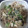 El cooksnap de cocina cuando hizo Ensalada de judías blancas y verdes con arroz.