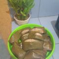 Cooksnap dari Lya Irfan untuk resep Lapek Sagan