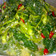 Cooksnap dari Amalina Zaki untuk resep Sawi Sayur Manis