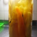 El cooksnap de Silvia Gabriela cuando hizo Ajíes en vinagre.