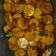 Cooksnap dari nurafnirifai untuk resep Bakso tempe goreng