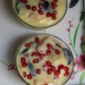 Kiara का कुकस्नैप जब उन्होंने फ्रूट कस्टर्ड विथ ड्राई फ्रूट्स (fruit custard with dry fruits recipe in Hindi) बनाया था।