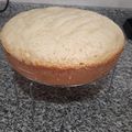 El cooksnap de havimi cuando hizo Torta de vainilla esponjosa.