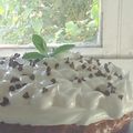 El cooksnap de begohernandezm cuando hizo Torta brownie... mortal.
