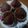 Cooksnap dari en_ai untuk resep Muffin Coklat kukus