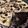 Chase Biddle's cooksnap of when they made Oreo Cheesecake.
