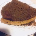 El cooksnap de Luciana Giannattasiook cuando hizo Chocotorta helada light con 5 ingredientes.