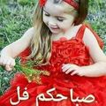 صورة من عاشقة الورد...، شاركها بعد تجربة وصفة سمك مقلي صغير 🐟🐟🐟🐟