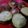Cooksnap dari Sabbihan Nisa untuk resep Bingka kentang bakar khas banjarmasin ala dewi tryana