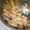 Cooksnap dari Lylawati M Sijabat untuk resep Ayam Tahu Saus Tiram