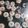 Cooksnap dari Helda Rosalinda untuk resep Kue kering mini donat