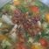 Cooksnap dari Icaak untuk resep 02. SAYUR SOP AYAM simple dan sedaaapp