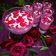 Sudha Agrawal का कुकस्नैप जब उन्होंने रोज़ मिल्क शेक (rose milk shake recipe in Hindi) बनाया था।