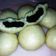 Cooksnap dari Putri Indah untuk resep Bakpao empuk sederhana simple