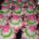 Cooksnap dari Gustiancake untuk resep Cara Bikang