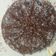 Aashta Singh का कुकस्नैप जब उन्होंने ओरियो केक इन कड़ाई (Oreo Cake recipe in hindi) बनाया था।