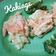 Cooksnap dari Selera Ummi untuk resep Kakiage