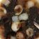 Cooksnap dari Mery Chan untuk resep Lo han kuo jelly