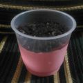 Cooksnap dari Iga untuk resep Milk Pudding ala Gyu Kaku (w/ gelatin bubuk)