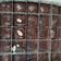 Cooksnap dari Nies Sucipto untuk resep Brownies Panggang/Brownies potong