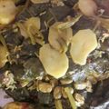 صورة من ام ساره العراقيه، شاركها بعد تجربة وصفة ورق عنب بالشبت والزبادي