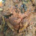 Cooksnap dari Lala Abraar untuk resep Rendang daging
