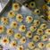Cooksnap dari Clara Satya untuk resep Semprit Susu Tiga Bahan