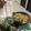 Cooksnap dari Juliyanti Fu untuk resep Bakcang (isian : daging) 2/4