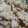 Cooksnap dari dian untuk resep Jamur Enoki Crispy