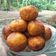 Cooksnap dari Ulil untuk resep Bola-bola Ubi Rambat