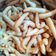 Cooksnap dari Wenny Hestiningsih untuk resep Stik keju telur gabus dijamin renyah garing anti gagal