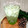 Cooksnap dari Pawon Macie untuk resep 585. Es Timun Selasih Sirup Melon