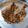 प्रज्ञान परमिता सिंह 's cooksnap of when they made चिकन बिरयानी (chicken biryani recipe in Hindi).