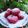Cooksnap dari RatuAthor untuk resep Donat Buah Naga Merah
