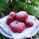 Cooksnap dari RatuAthor untuk resep Donat Buah Naga Merah