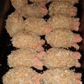 Cooksnap dari Aganila Rahayu untuk resep Sosis gurita